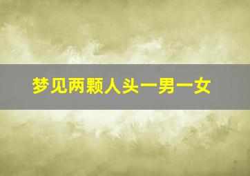 梦见两颗人头一男一女