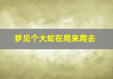 梦见个大蛇在爬来爬去