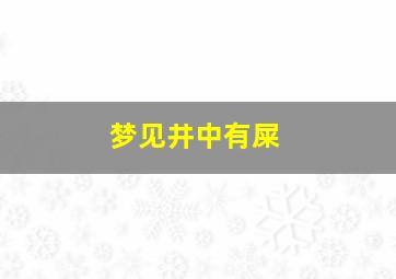 梦见井中有屎