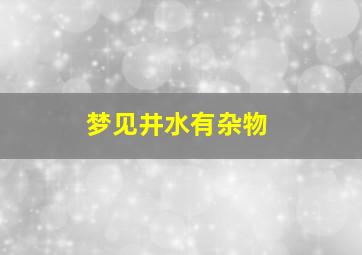 梦见井水有杂物