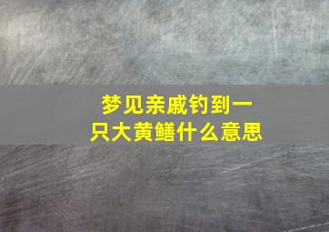 梦见亲戚钓到一只大黄鳝什么意思