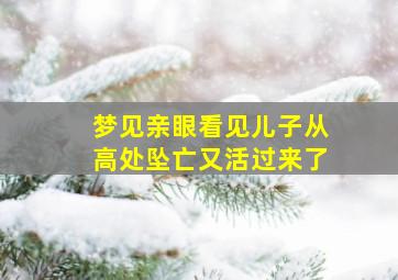 梦见亲眼看见儿子从高处坠亡又活过来了