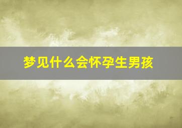 梦见什么会怀孕生男孩