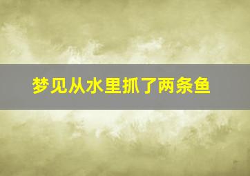 梦见从水里抓了两条鱼