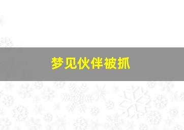 梦见伙伴被抓