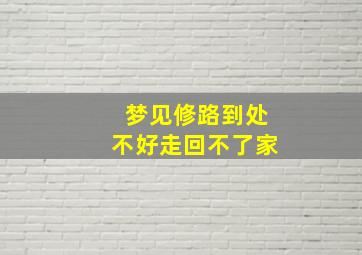 梦见修路到处不好走回不了家