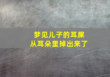 梦见儿子的耳屎从耳朵里掉出来了