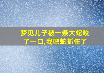 梦见儿子被一条大蛇咬了一口,我吧蛇抓住了