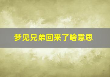 梦见兄弟回来了啥意思