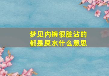 梦见内裤很脏沾的都是屎水什么意思