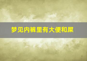 梦见内裤里有大便和屎