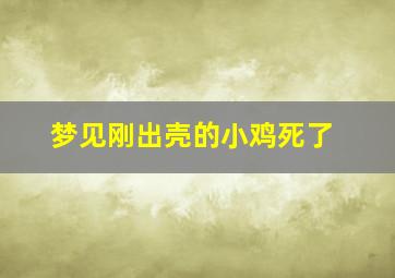 梦见刚出壳的小鸡死了