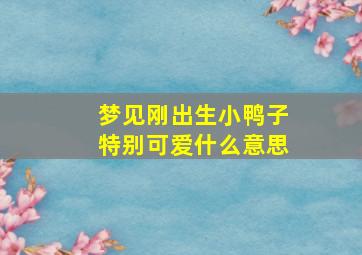 梦见刚出生小鸭子特别可爱什么意思