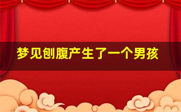 梦见刨腹产生了一个男孩