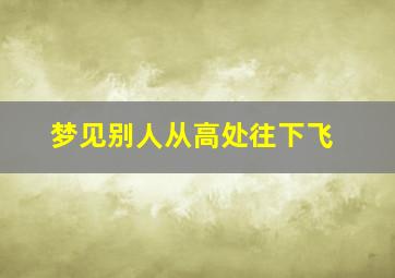 梦见别人从高处往下飞