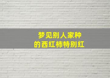 梦见别人家种的西红柿特别红