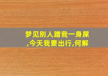 梦见别人蹭我一身屎,今天我要出行,何解