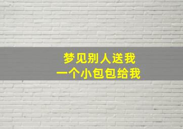 梦见别人送我一个小包包给我