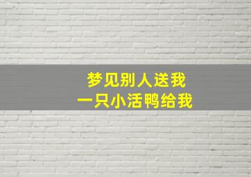 梦见别人送我一只小活鸭给我