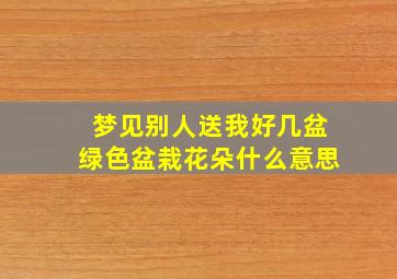 梦见别人送我好几盆绿色盆栽花朵什么意思