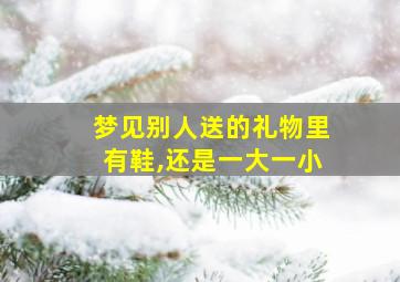 梦见别人送的礼物里有鞋,还是一大一小