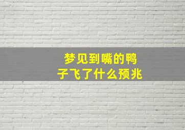 梦见到嘴的鸭子飞了什么预兆