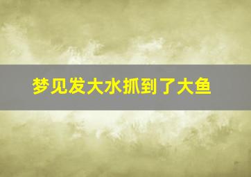 梦见发大水抓到了大鱼