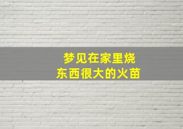 梦见在家里烧东西很大的火苗