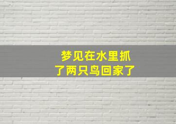 梦见在水里抓了两只鸟回家了