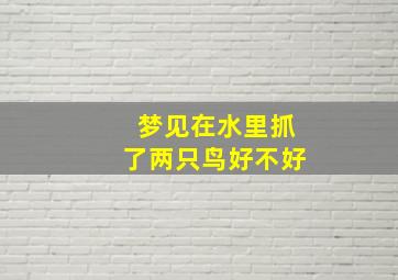 梦见在水里抓了两只鸟好不好