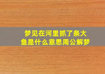 梦见在河里抓了条大鱼是什么意思周公解梦