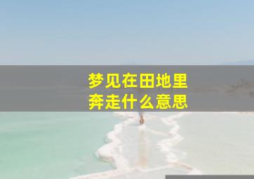 梦见在田地里奔走什么意思