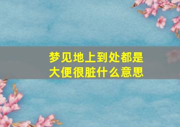 梦见地上到处都是大便很脏什么意思