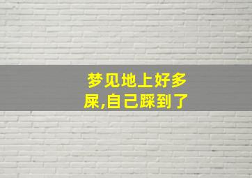 梦见地上好多屎,自己踩到了