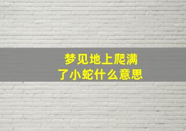 梦见地上爬满了小蛇什么意思