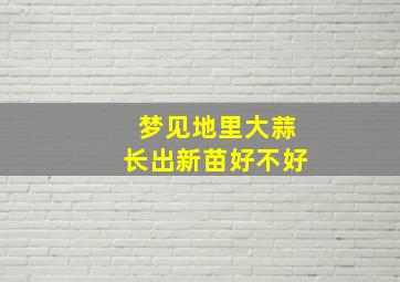 梦见地里大蒜长出新苗好不好