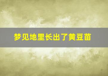 梦见地里长出了黄豆苗