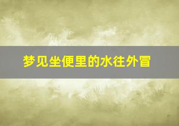 梦见坐便里的水往外冒