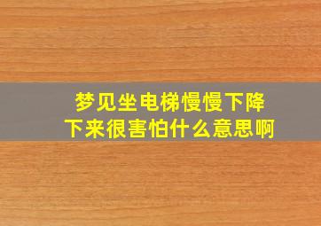 梦见坐电梯慢慢下降下来很害怕什么意思啊