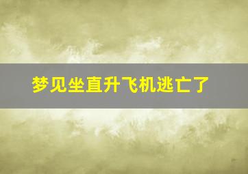 梦见坐直升飞机逃亡了