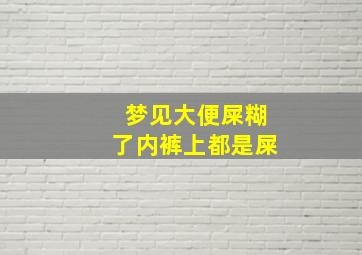 梦见大便屎糊了内裤上都是屎