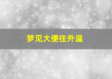 梦见大便往外溢