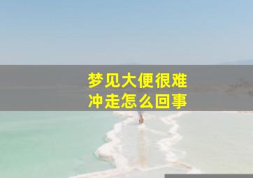 梦见大便很难冲走怎么回事