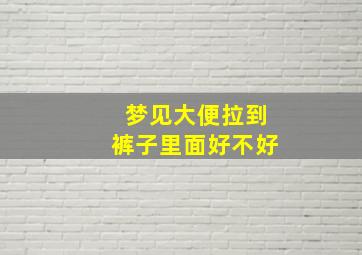 梦见大便拉到裤子里面好不好