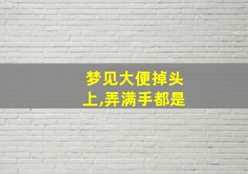 梦见大便掉头上,弄满手都是