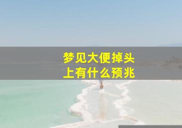 梦见大便掉头上有什么预兆