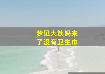 梦见大姨妈来了没有卫生巾