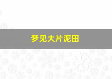 梦见大片泥田