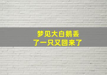 梦见大白鹅丢了一只又回来了