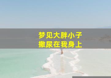 梦见大胖小子撒尿在我身上